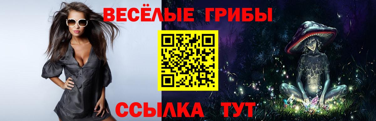 Анапа  Псилоцибиновые грибы Cubensis  Вход с VPN 