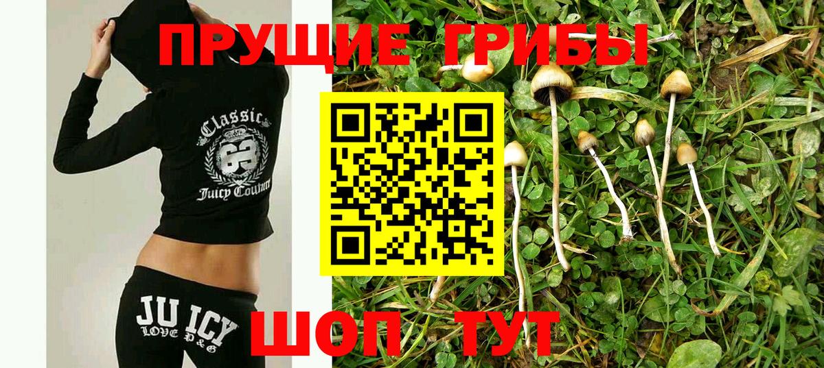 Галлюциногенные грибы GOLDEN TEACHER Анапа