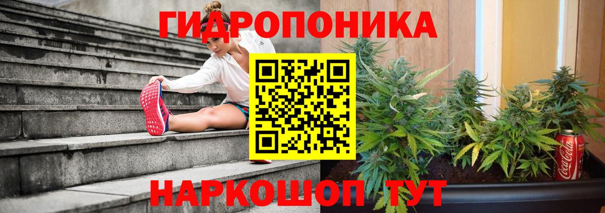 МАРИХУАНА гибрид Анапа